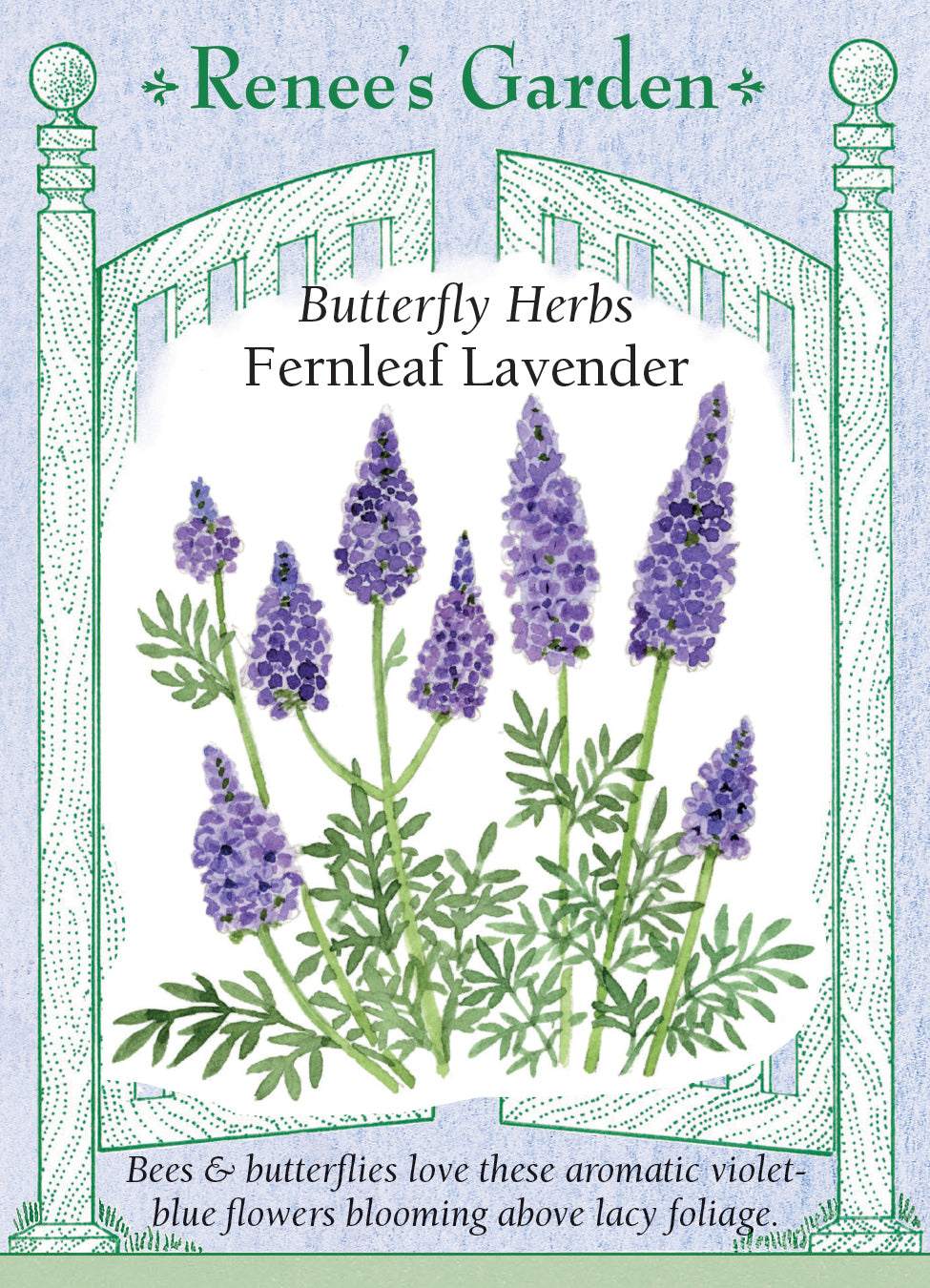 Lavender Fernleaf - Renee's Garden