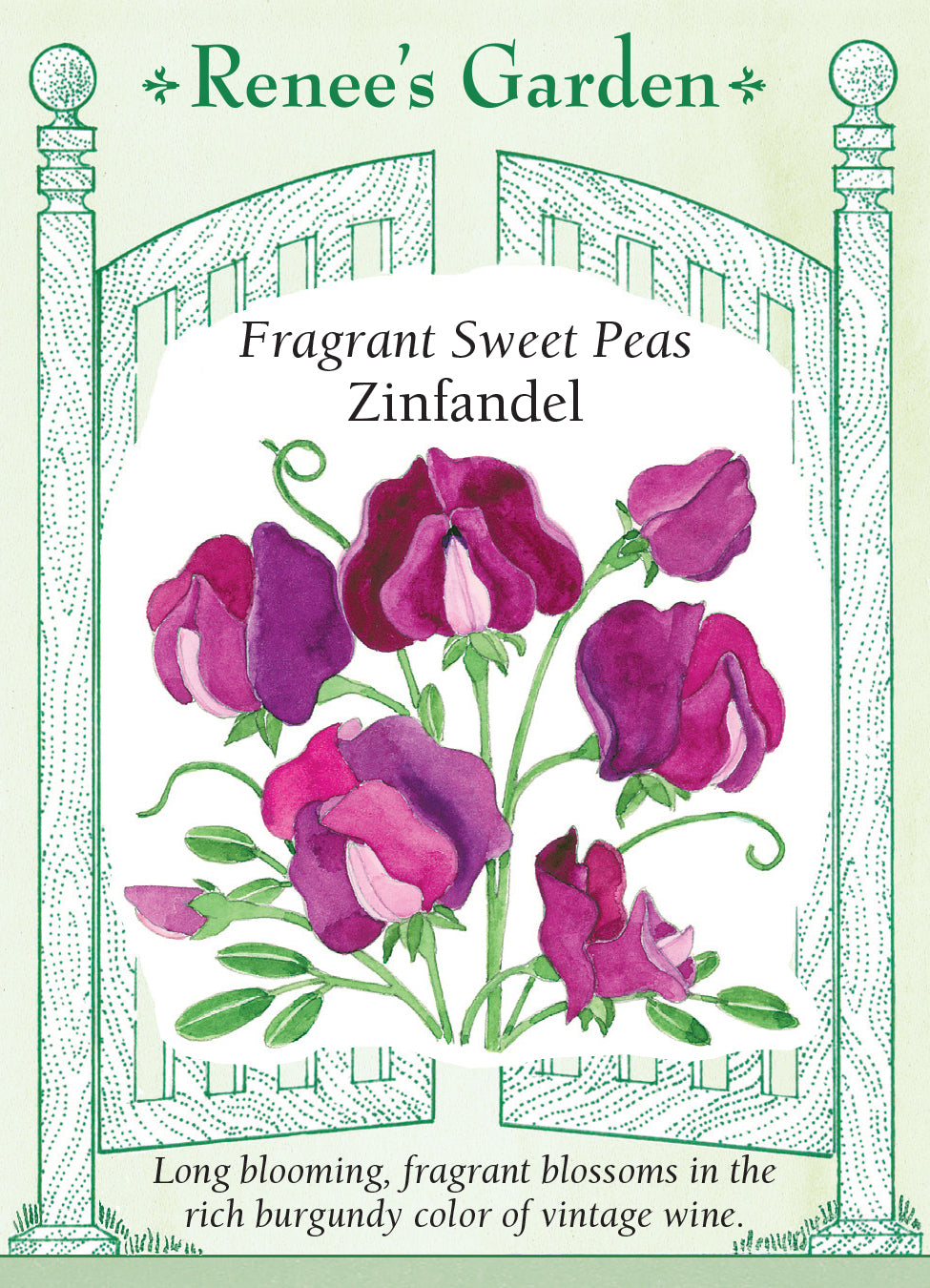 Sweet Pea Zinfandel - Renee's Garden