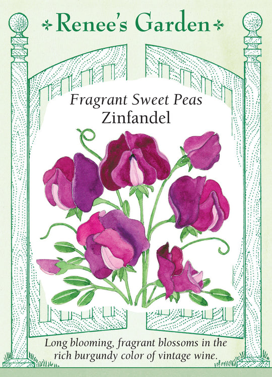 Sweet Pea Zinfandel - Renee's Garden