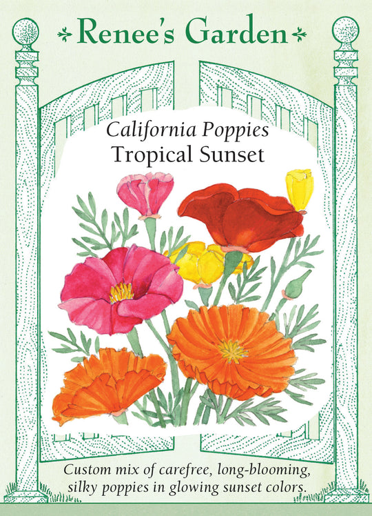 California Poppy Tropical Sunset - Renee`s Garden