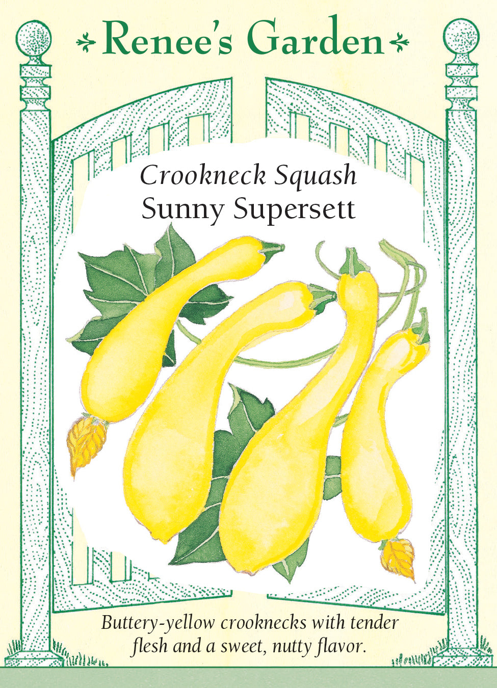 Squash Sunny Supersett - Renee's Garden
