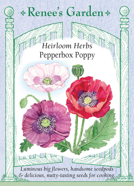 Poppy Pepperbox - Renee's Garden
