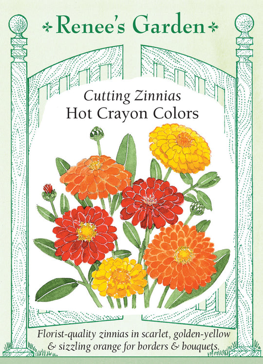 Zinnia Hot Crayon Colors - Renee's Garden