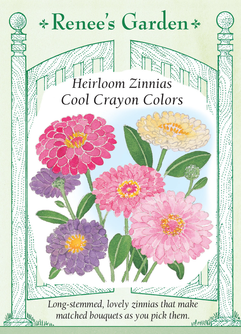 Zinnia Cool Crayon Colors - Renee's Garden