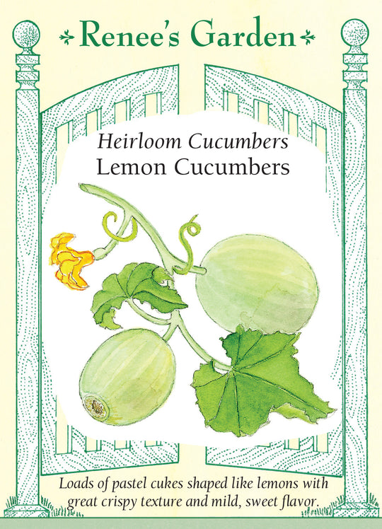 Cucumber Lemon - Renee's Garden