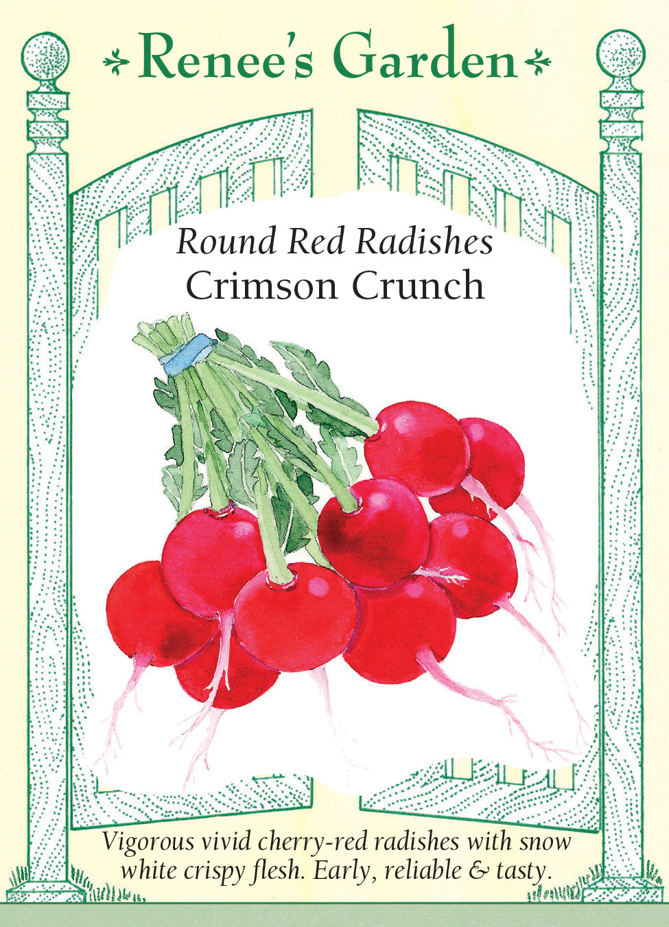 Radish Crimson Crunch - Renee's Garden