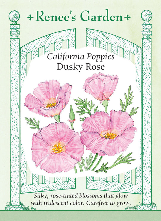 California Poppy Dusky Rose - Renee's Garden