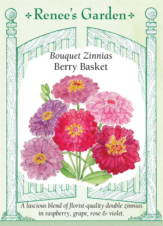 Zinnia Berry Basket - Renee's Garden