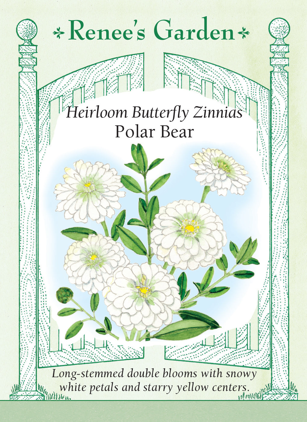 Zinnia Polar Bear - Renee's Garden