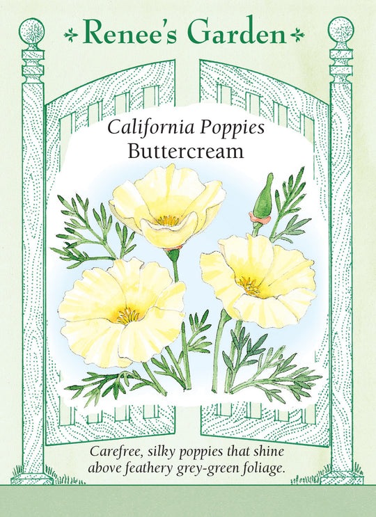 California Poppy Buttercream - Renee's Garden