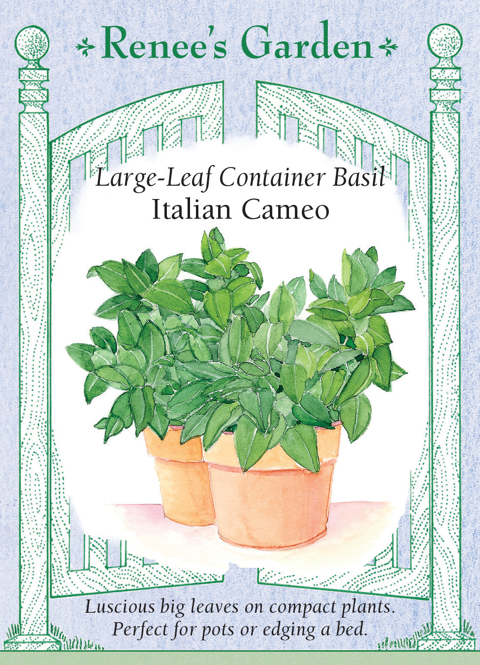Basil Italian Cameo - Renee's Garden