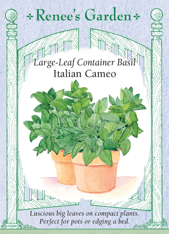 Basil Italian Cameo - Renee's Garden