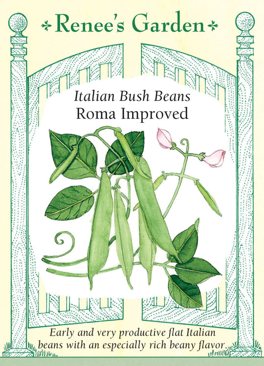 Bean Roma Improved - Renee's Garden