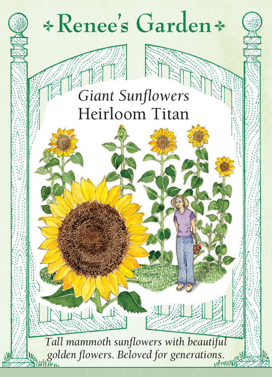 Sunflower Heirloom Titan - Renee's Garden