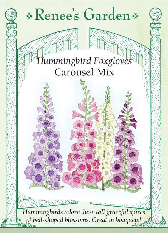 Foxglove Carousel Mix - Renee's Garden
