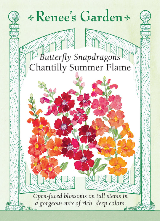 Snapdragon Chantilly Summer Flame - Renee's Garden