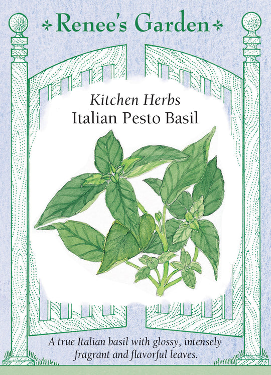 Basil Italian Pesto - Renee's Garden