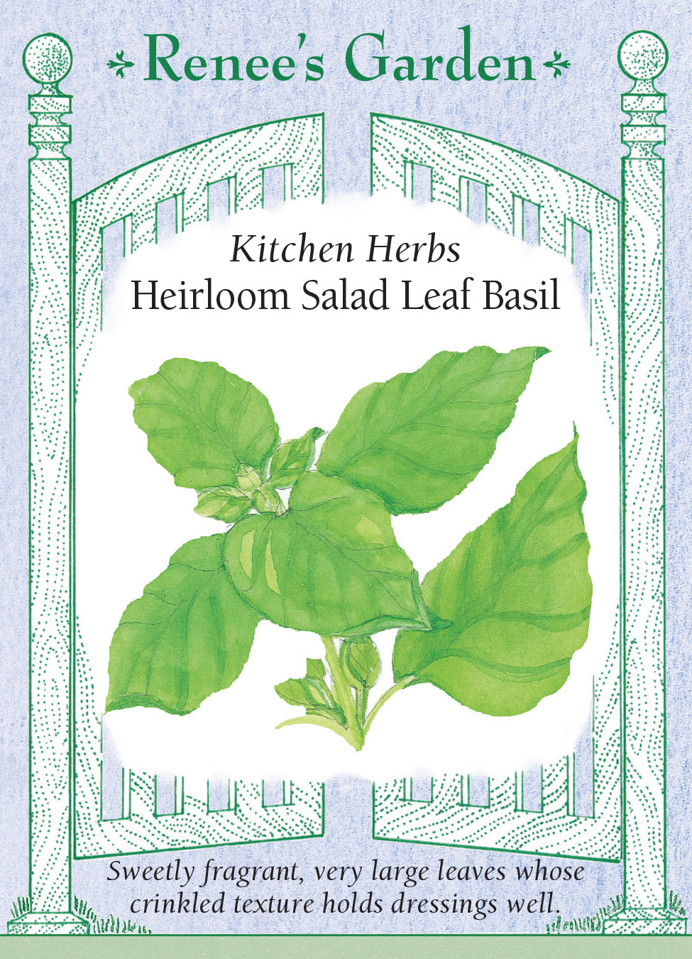 Basil Salad Leaf - Renee's Garden