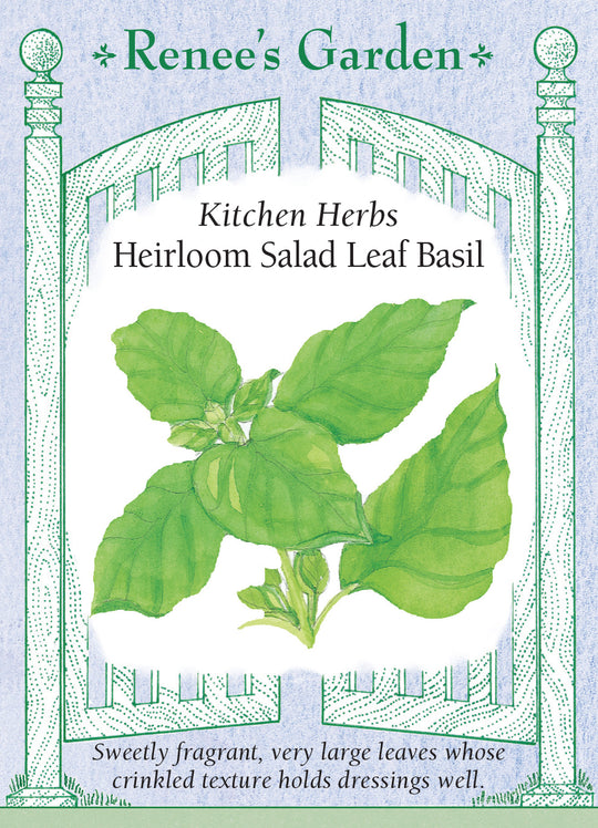 Basil Salad Leaf - Renee's Garden