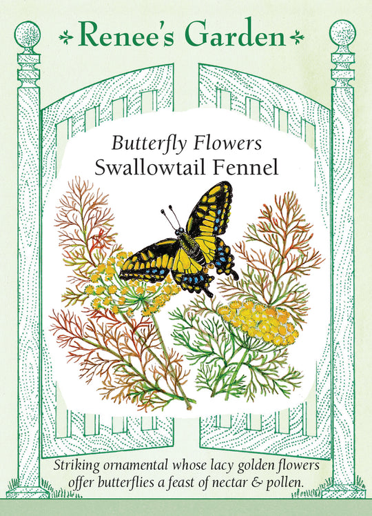 Fennel Swallowtail - Renee's Garden