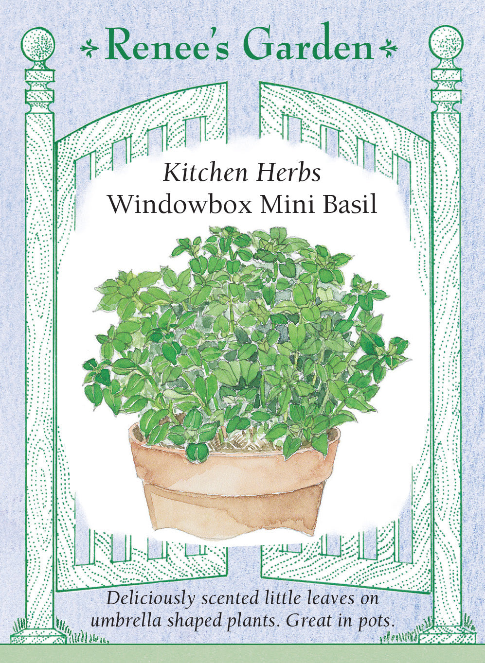 Basil Windowbox Mini - Renee's Garden