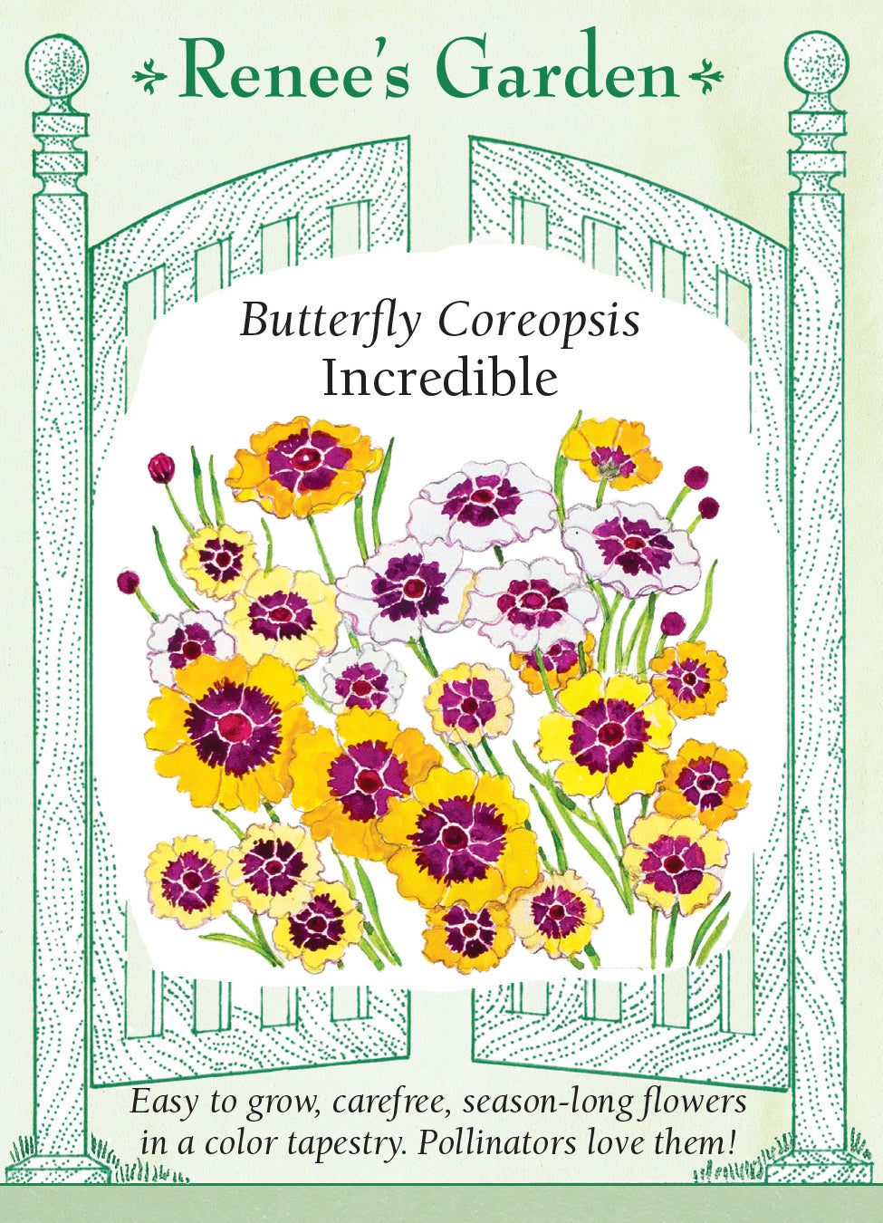 Coreopsis Incredible - Renee's Garden