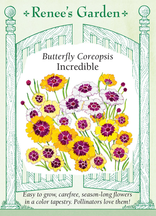 Coreopsis Incredible - Renee's Garden