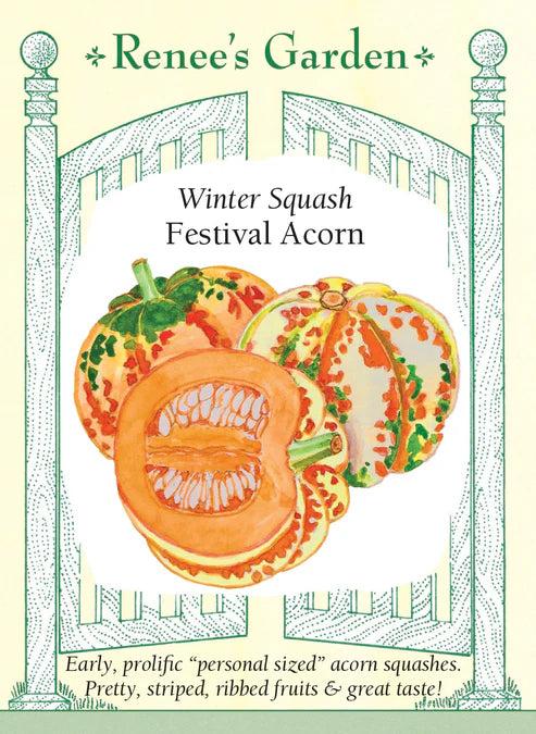 Squash Festival Acorn (Winter) - Renee's Garden