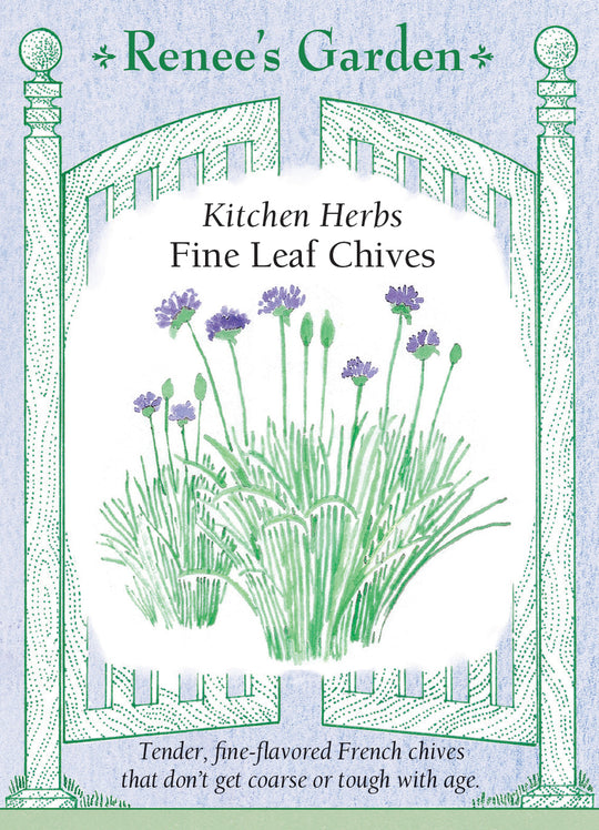 Herb Chives Fine Leaf - Renee's Garden