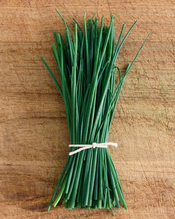Herb Chives Fine Leaf - Renee's Garden