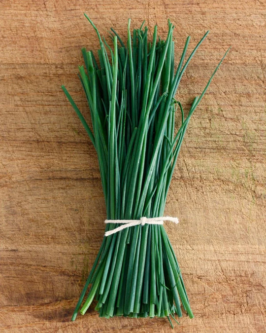 Herb Chives Fine Leaf - Renee's Garden