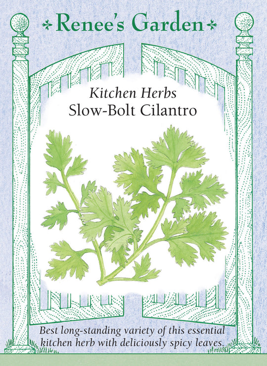 Cilantro Slow-Bolt - Renee's Garden