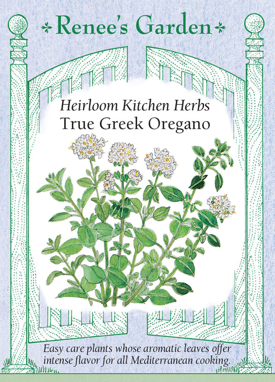 Oregano True Greek - Renee's Garden