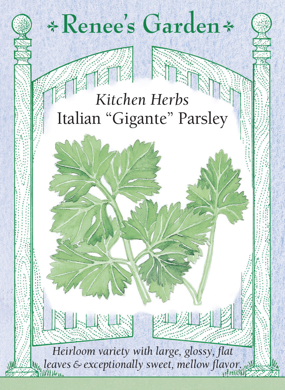 Parsley Italian “Gigante” - Renee's Garden