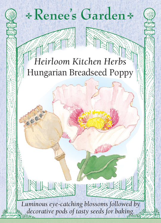 Poppy Hungarian Breadseed - Renee's Garden
