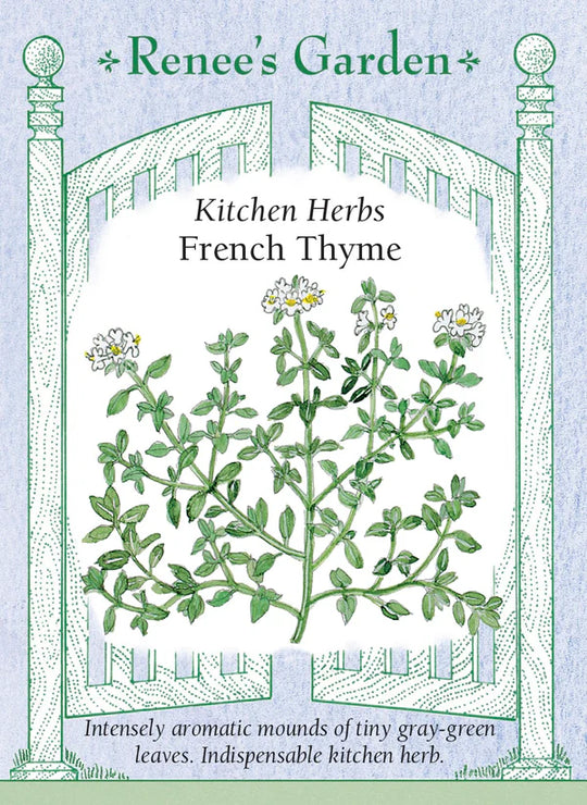 Thyme French - Renee's Garden
