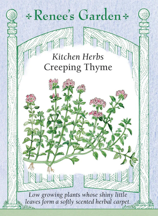 Thyme Creeping - Renee's Garden