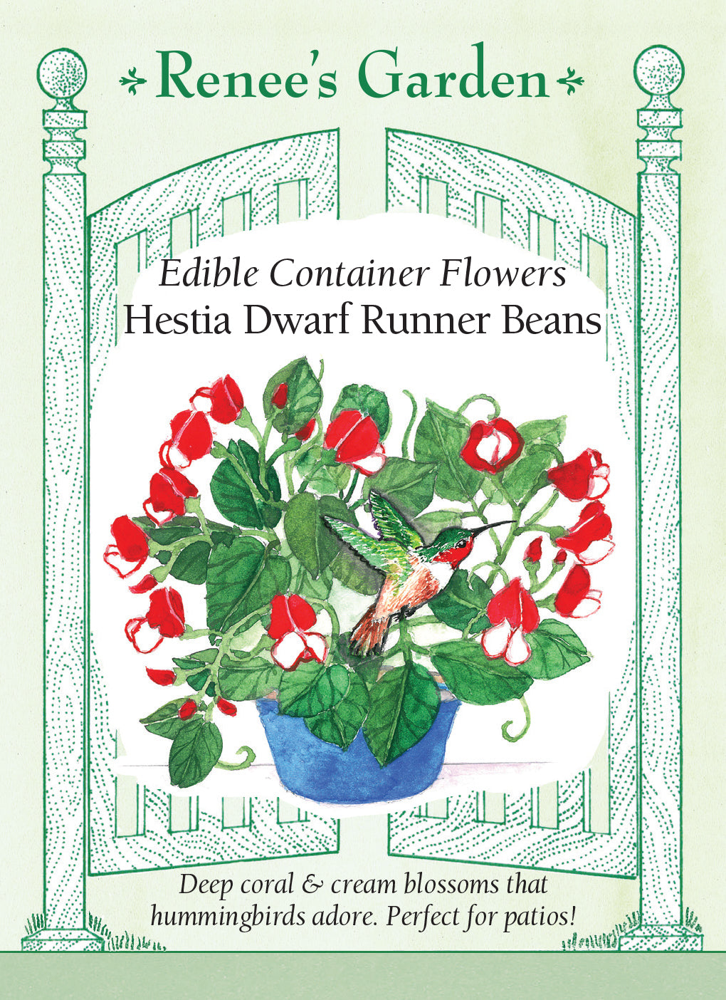 Bean Hestia Dwarf Runner - Renee's Garden