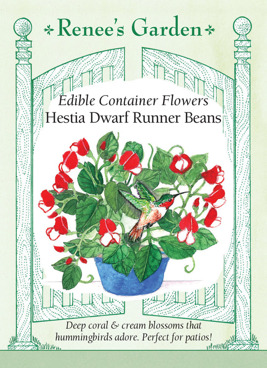 Bean Hestia Dwarf Runner - Renee's Garden