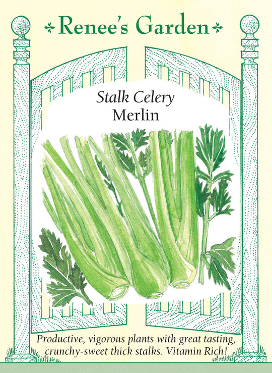 Celery Merlin - Renee's Garden