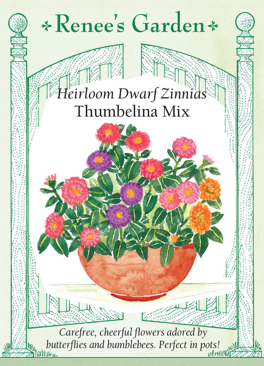 Zinnia Thumbelina Mix - Renee's Garden
