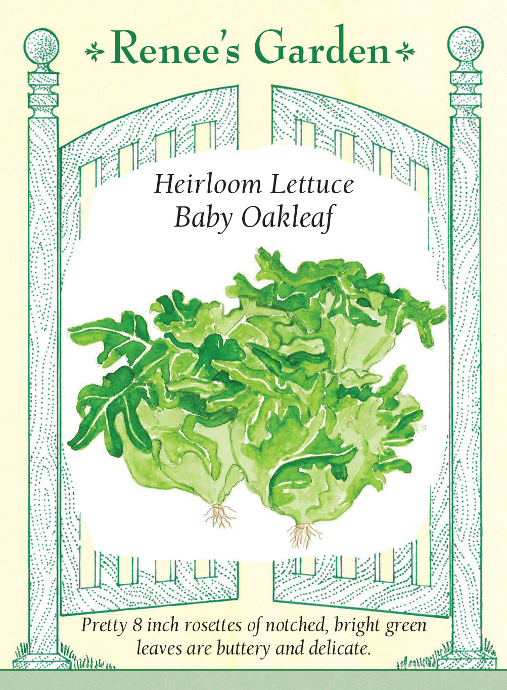 Lettuce Baby Oakleaf - Renee's Garden