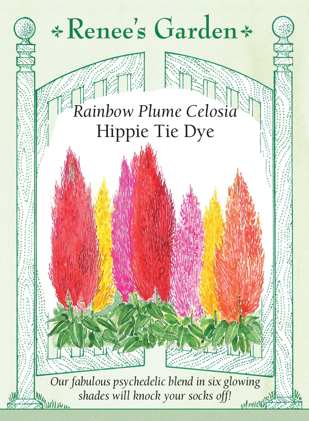 Celosia Hippie Tie Dye Mix - Renee's Garden