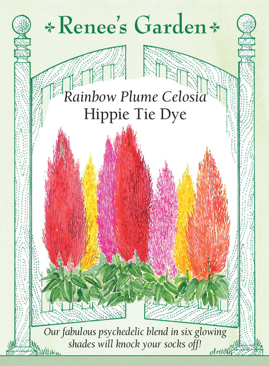 Celosia Hippie Tie Dye Mix - Renee's Garden