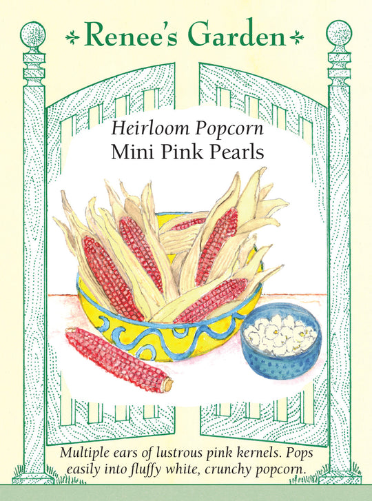 Corn Mini Pink Pearls - Renee's Garden