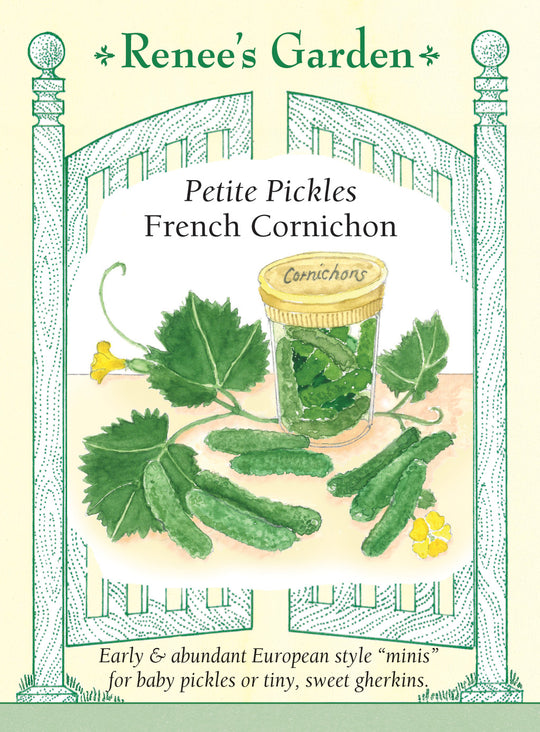 Cucumber French Cornichon - Renee's Garden