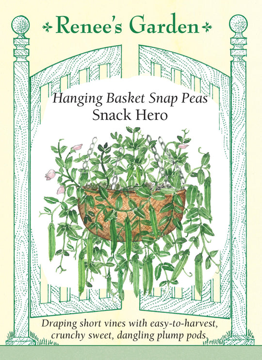 Pea Snack Hero - Renee's Garden