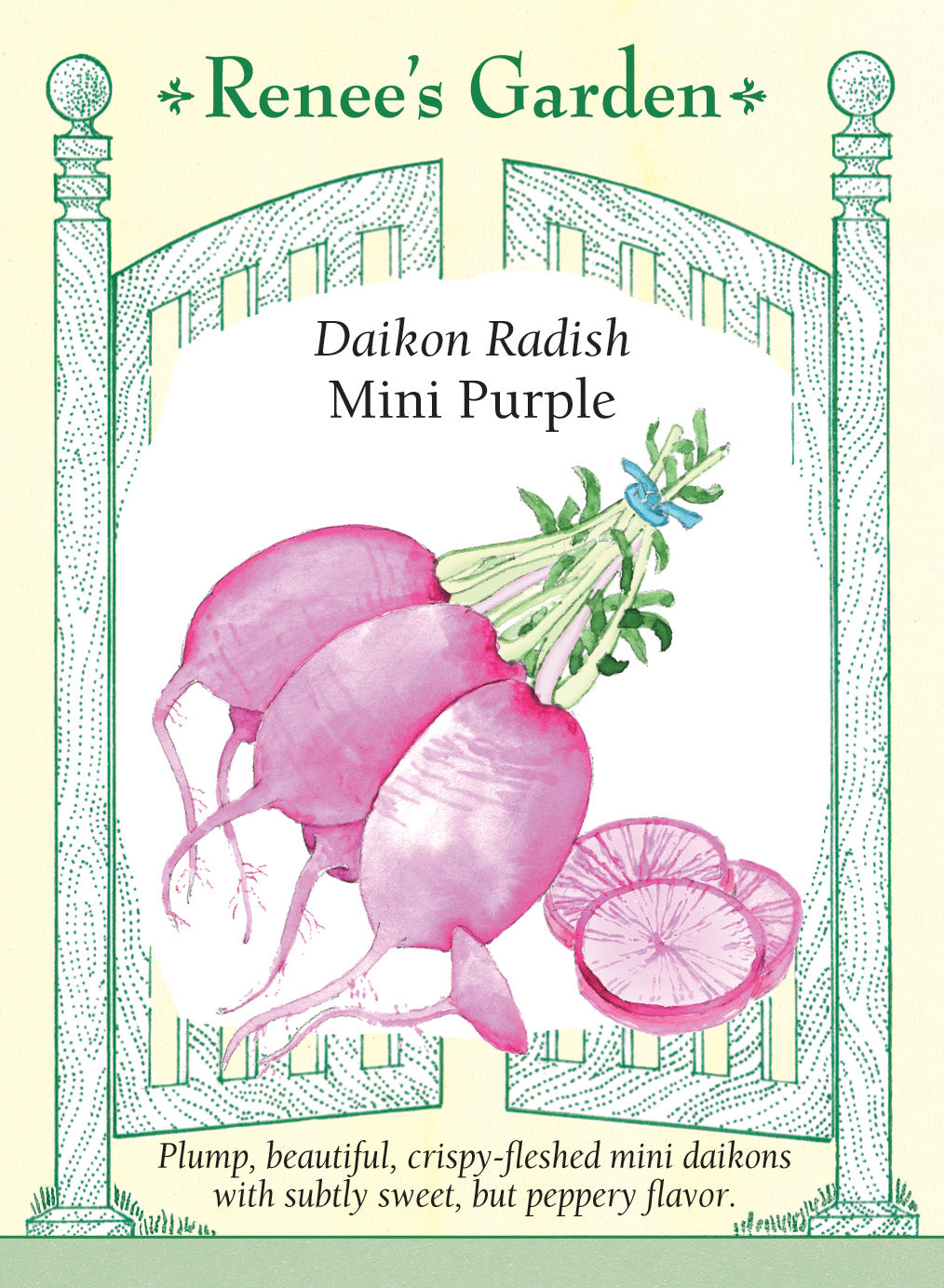 Radish Mini Purple - Renee's Garden