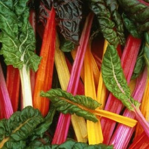 Swiss Chard Bright Lights - West Coast Seeds