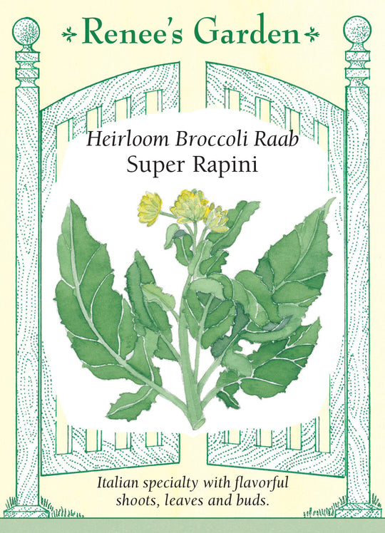 Broccoli Super Rapini - Renee's Garden